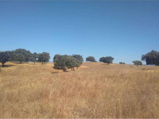 Terreno en venta en Tierra de Badajoz, Extremadura