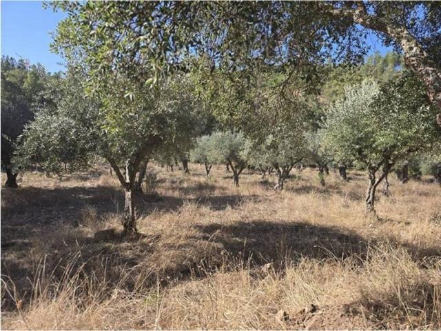 Terreno en venta en Tierra de Badajoz, Extremadura
