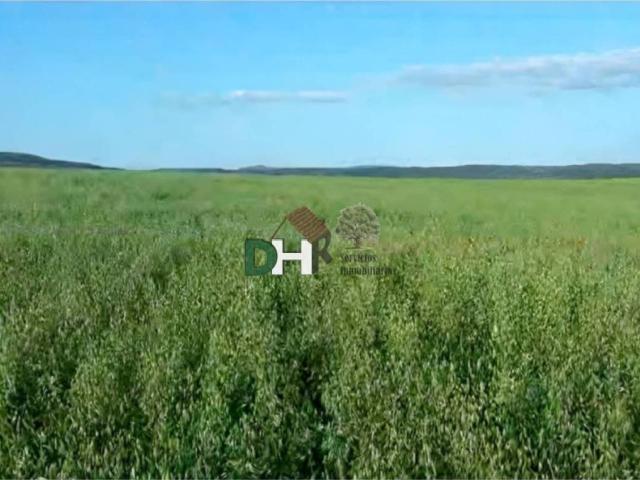 Terreno en venta en Tierra de Badajoz, Extremadura