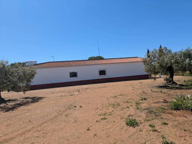Terreno en venta en Tierra de Barros, Extremadura