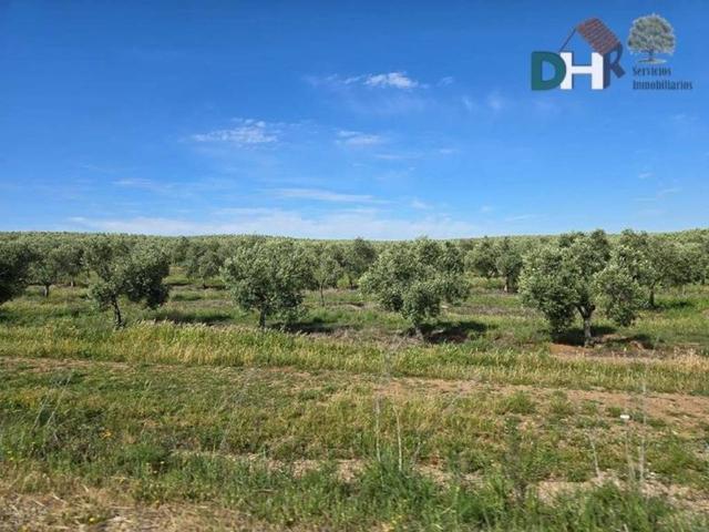 Terreno en venta en Tierra de Badajoz, Extremadura