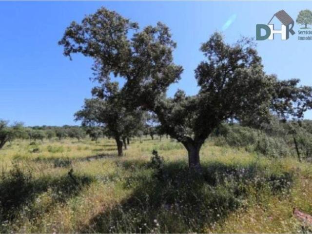 Terreno en venta en Badajoz