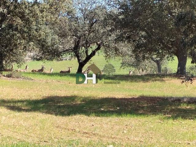 Terreno en venta en Tierra de Badajoz, Extremadura