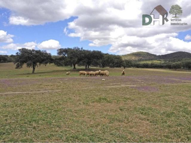 Terreno en venta en Tierra de Badajoz, Extremadura