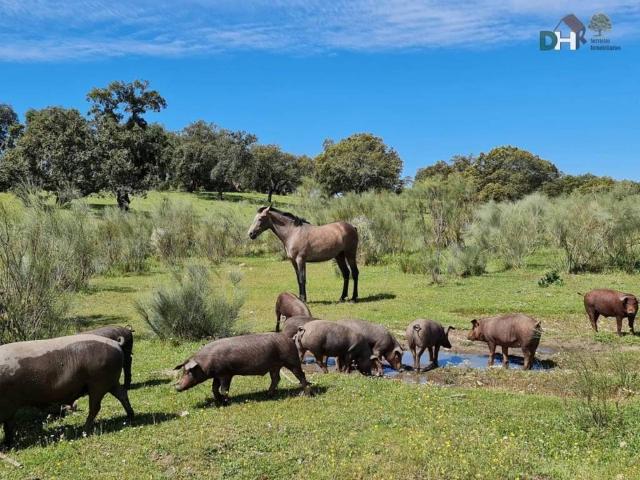 Terreno en venta en Tierra de Badajoz, Extremadura