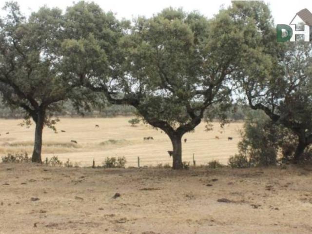 Terreno en venta en Tierra de Badajoz, Extremadura