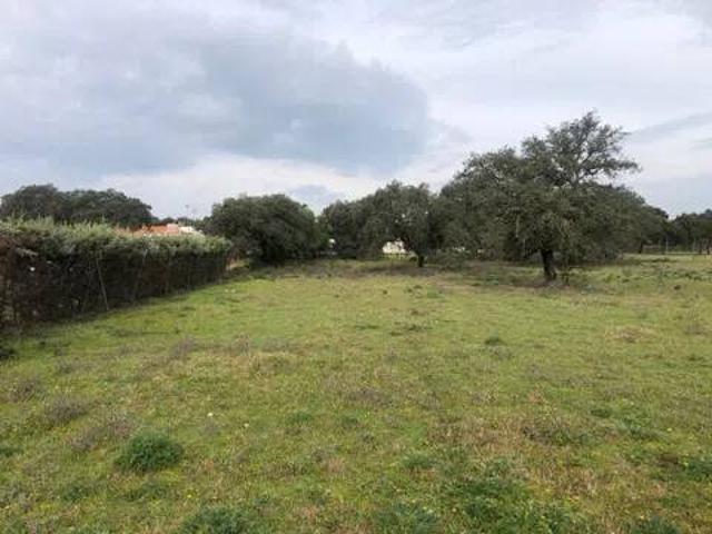 Terreno en venta en Tierra de Badajoz, Extremadura
