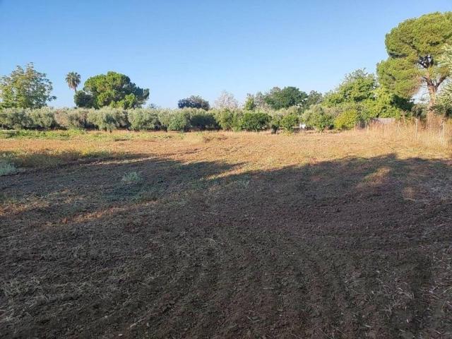 Terreno en venta en Tierra de Badajoz, Extremadura