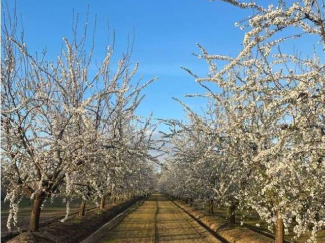 Terreno en venta en Tierra de Badajoz, Extremadura