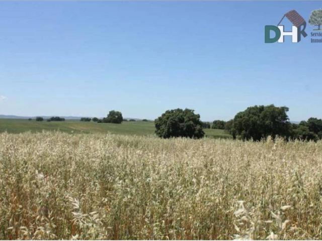 Terreno en venta en Tierra de Badajoz, Extremadura