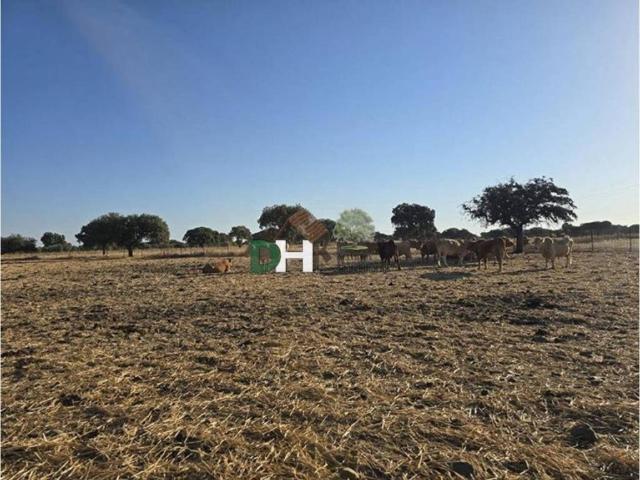 Terreno en venta en Tierra de Badajoz, Extremadura