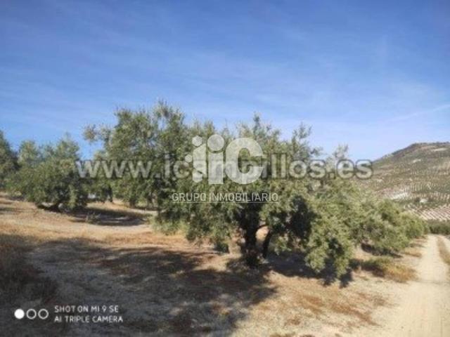Terreno en venta en Baena, Andalucía