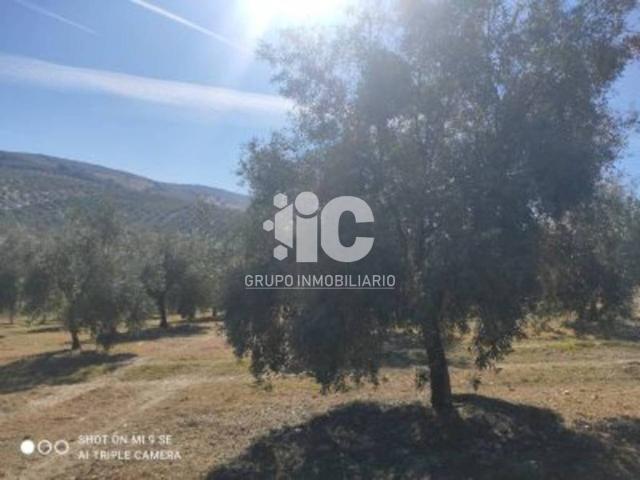 Terreno en venta en Baena, Andalucía