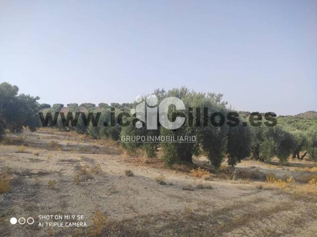Terreno en venta en Baena, Andalucía