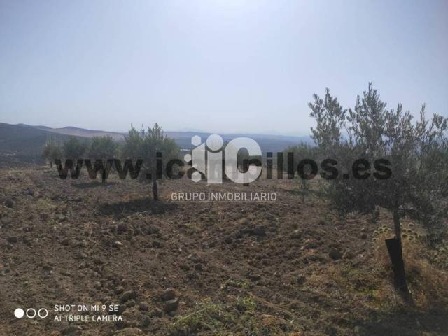 Terreno en venta en Baena, Andalucía