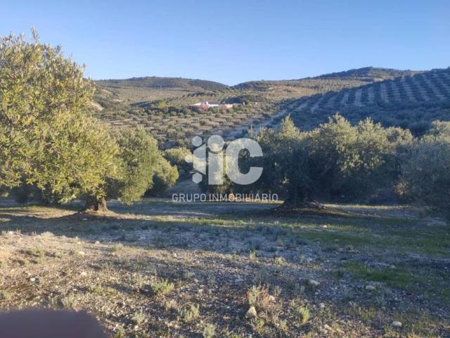 Terreno en venta en Baena, Andalucía