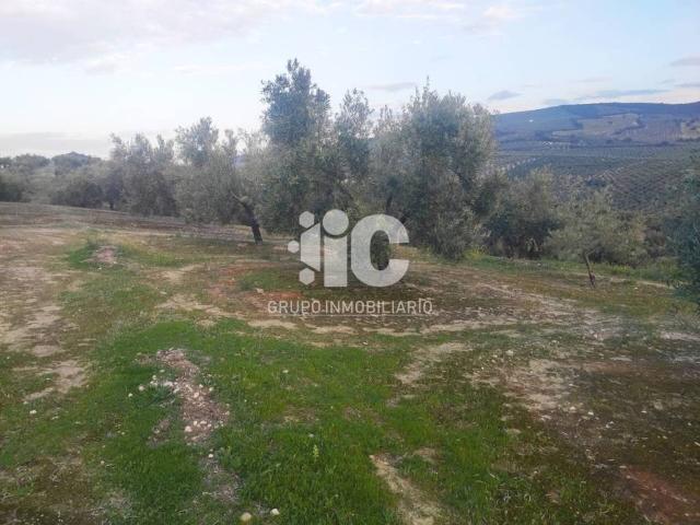 Terreno en venta en Baena, Andalucía