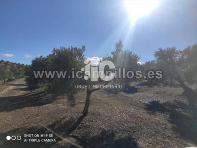 Terreno en venta en Baena, Andalucía