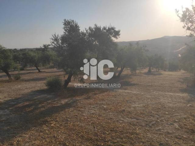 Terreno en venta en Baena, Andalucía
