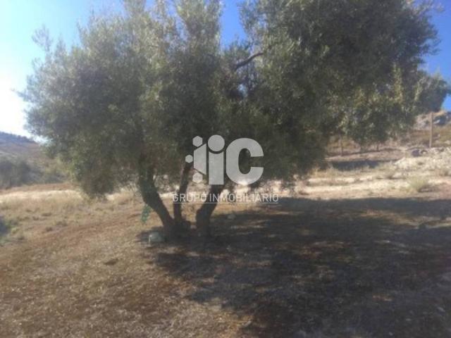 Terreno en venta en Baena, Andalucía
