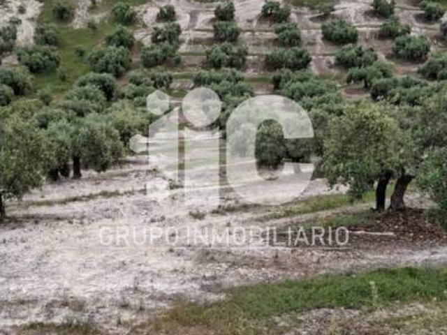 Terreno en venta en Baena, Andalucía