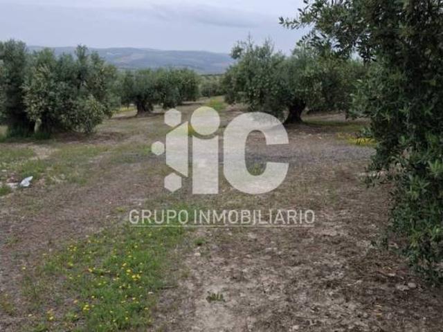 Terreno en venta en Baena, Andalucía