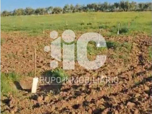 Terreno en venta en Baena, Andalucía