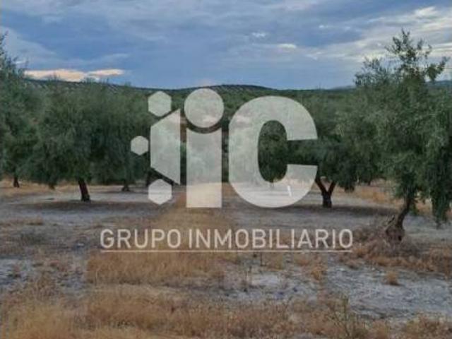 Terreno en venta en Baena, Córdoba