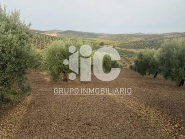 Terreno en venta en Baena, Andalucía