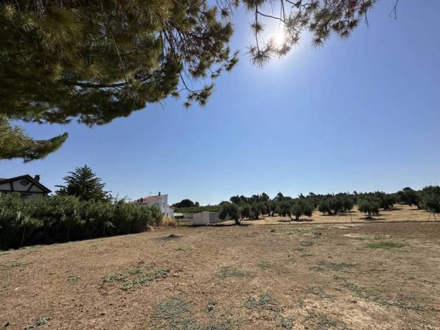 Terreno en venta en Baeza, Andalucía