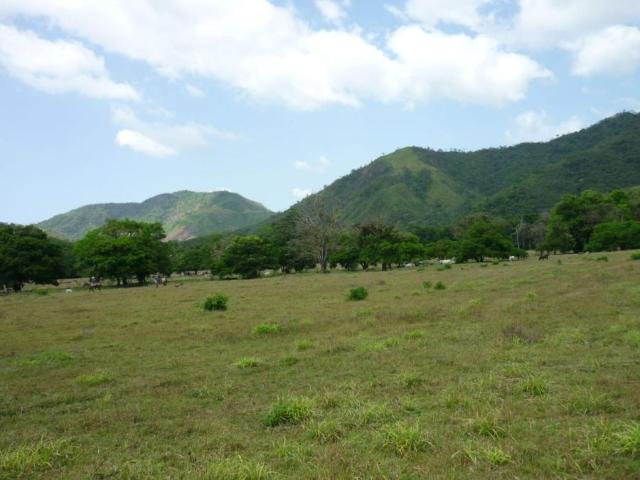 Terreno venta en Bahía Honda, Soná