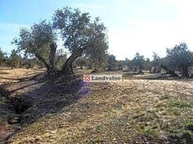 Terreno en venta en Bailén, Andalucía