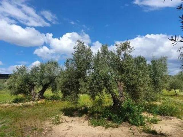Terreno en venta en Bailén, Andalucía