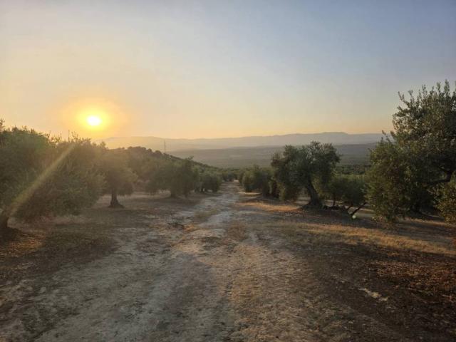 Terreno en venta en Bailén, Andalucía