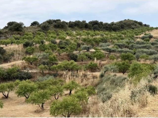 Terreno en venta en Noguera, Catalunya