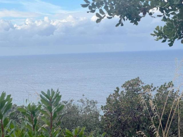 Terreno en venta en Serra de Tramuntana, Baleares