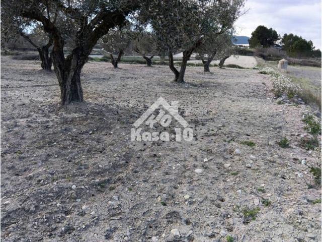 Terreno en venta en l'Alcoià, Valencia