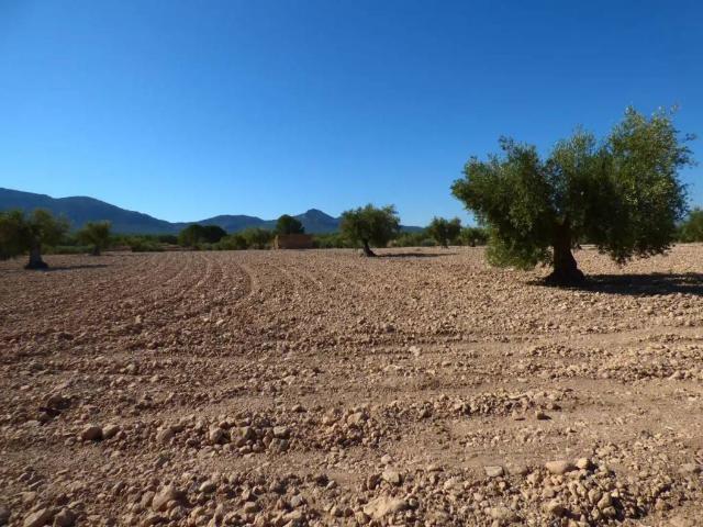 Terreno en venta en l'Alcoià, Valencia