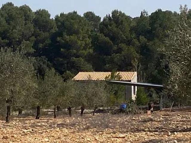 Terreno en venta en l'Alcoià, Valencia