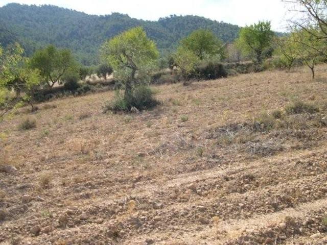 Terreno en venta en l'Alcoià, Valencia