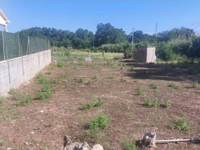 Terreno en venta en Banyeres Del Penedès, Tarragona