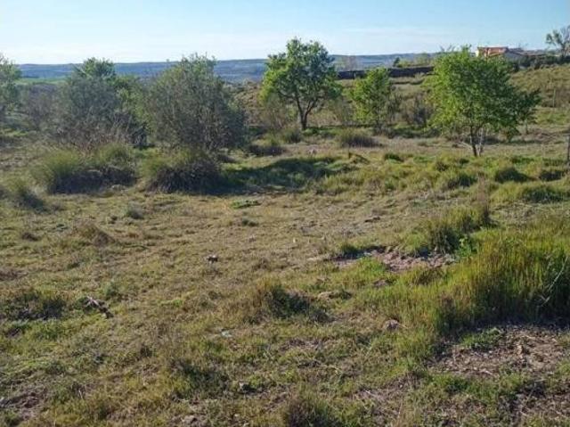 Terreno en venta en Barajas De Melo, Castilla-La Mancha