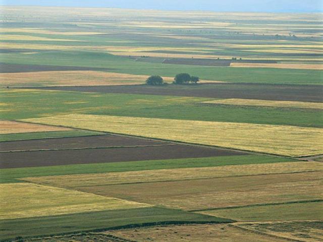 Terreno en venta en Barbadás