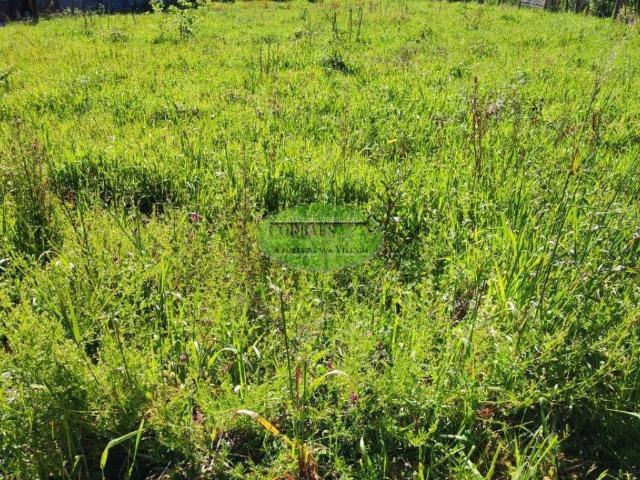 Terreno en venta en Barbadás