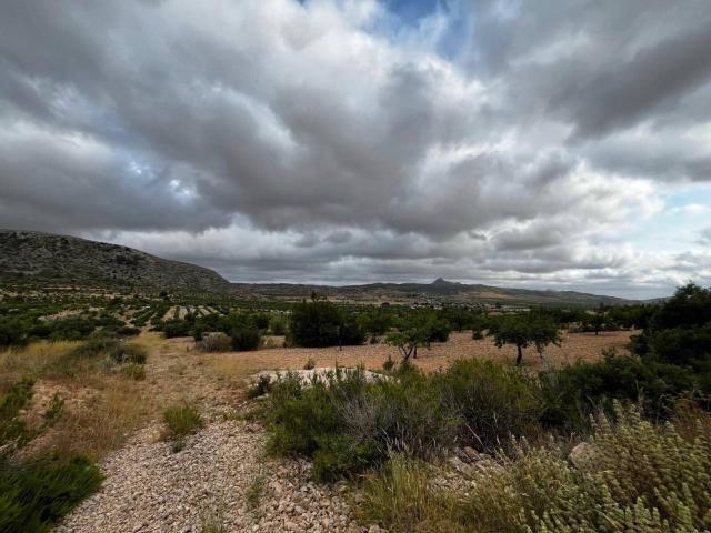 Terreno en venta en Casco Histórico, el Baix Segura / La Vega Baja