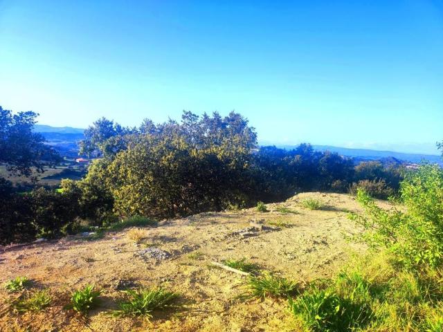 Terreno en venta en Somontano de Barbastro, Aragón