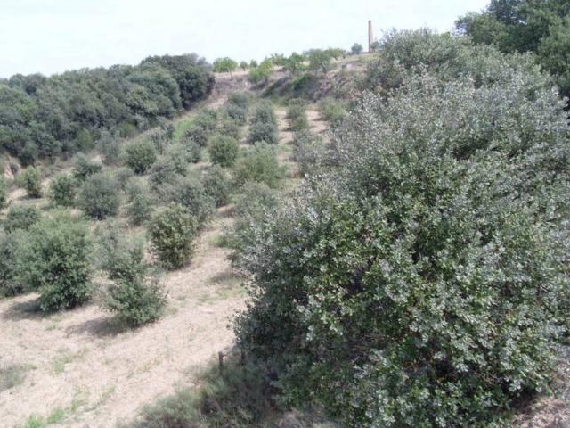 Terreno en venta en Cregenzán, Somontano de Barbastro
