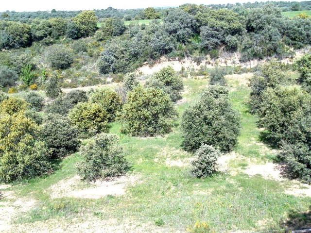 Terreno en venta en Somontano de Barbastro, Aragón