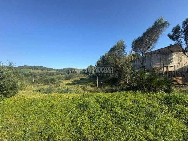 Terreno en venta en La Janda, Andalucía