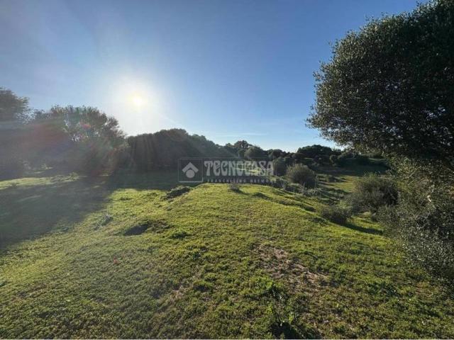 Terreno en venta en La Janda, Andalucía